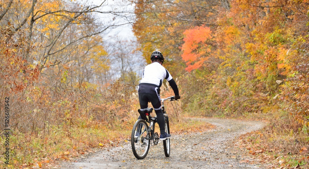 Fototapeta premium マウンテンバイク・紅葉の森を走る