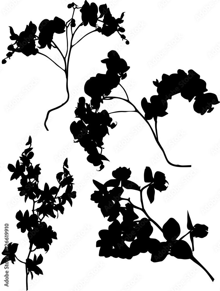 Fototapeta premium set of four orchid large branches black silhouettes