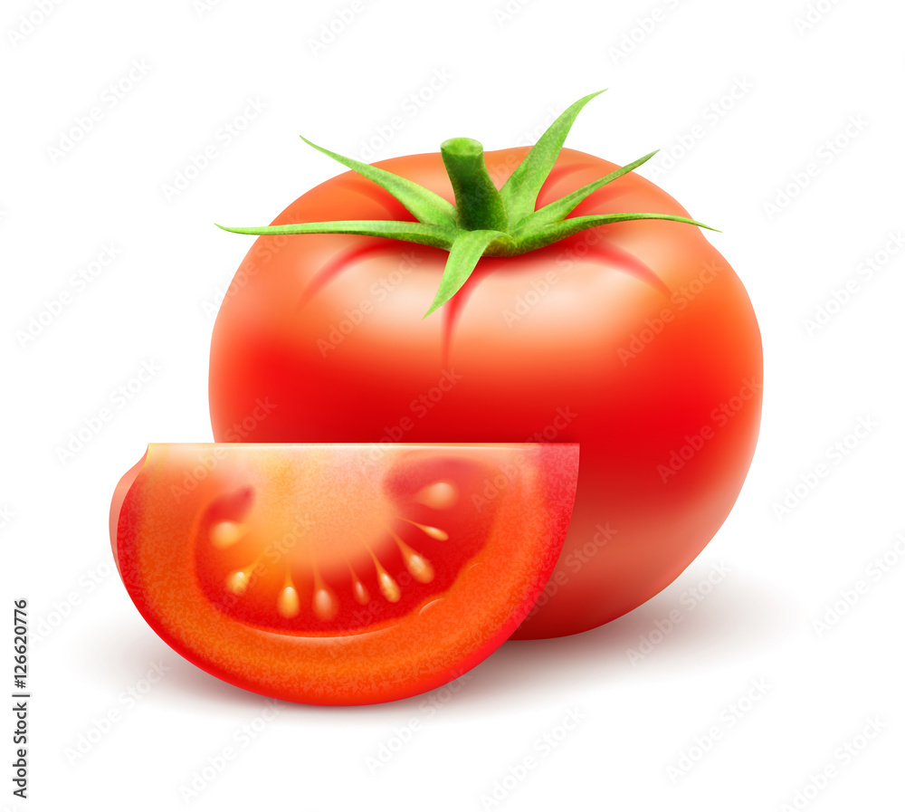 Tomate vectorielle 2