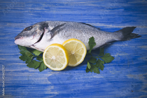 Fish, gilthead with parsley and lemon on blue wooden background