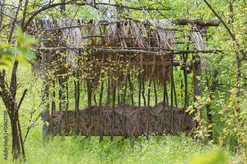 Feeder for wild animals photo