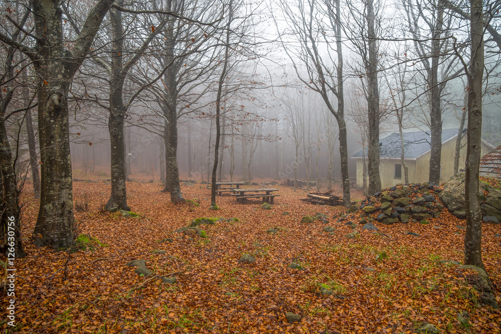 Isolated house in the forest in autumn Isolated house in the forest in autumn