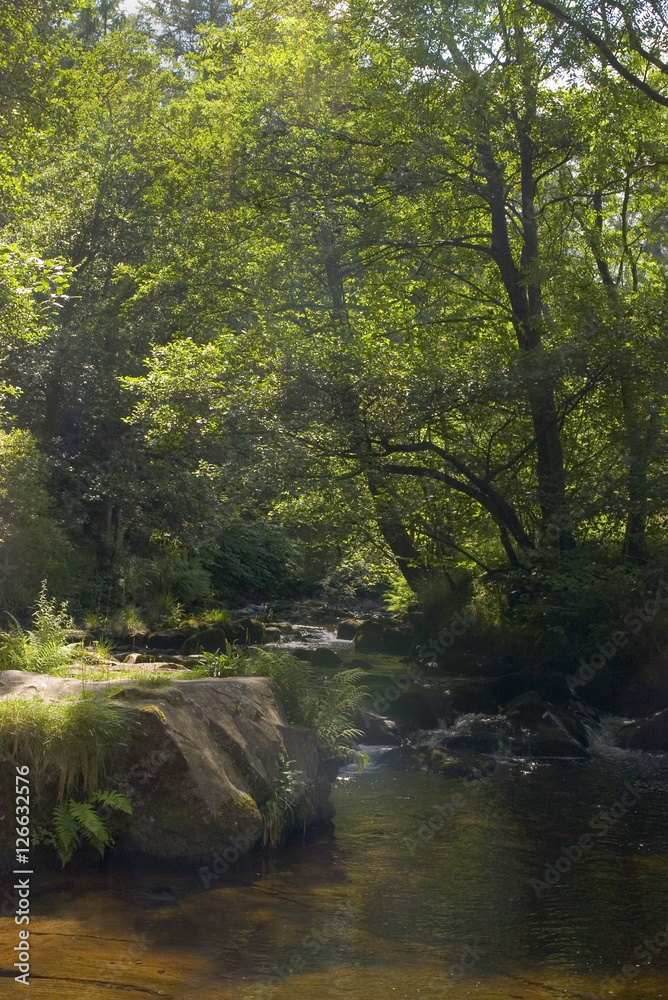Fototapeta premium waterfall river cascade brecon beacons national park wales