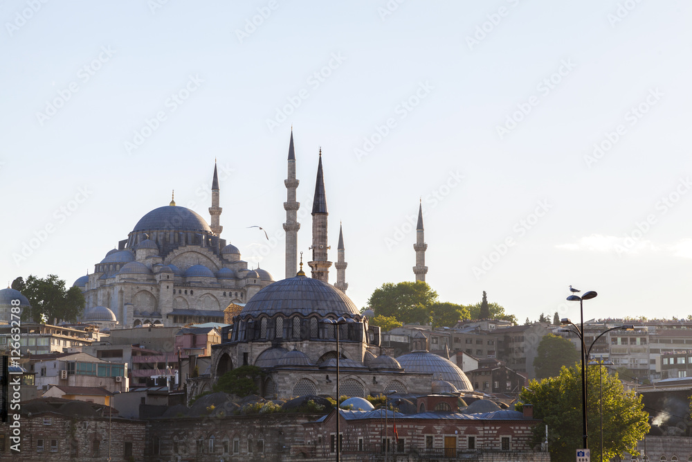 Sulaymaneah Mosque in Istanbul Turkey