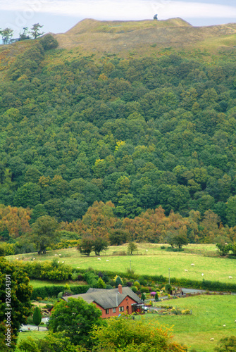 motte and bailey castle prehistoric earthwork photo