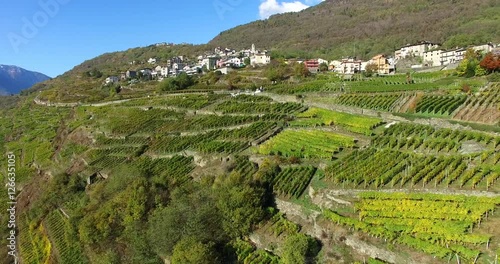 Vista aerea su campi coltivati in Valtellina - Aerial view 4k photo