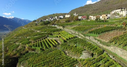 Coltivazioni in Valtellina - Meleti e vigneti - Aerial view 4k photo