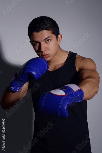Boxer © Alexander