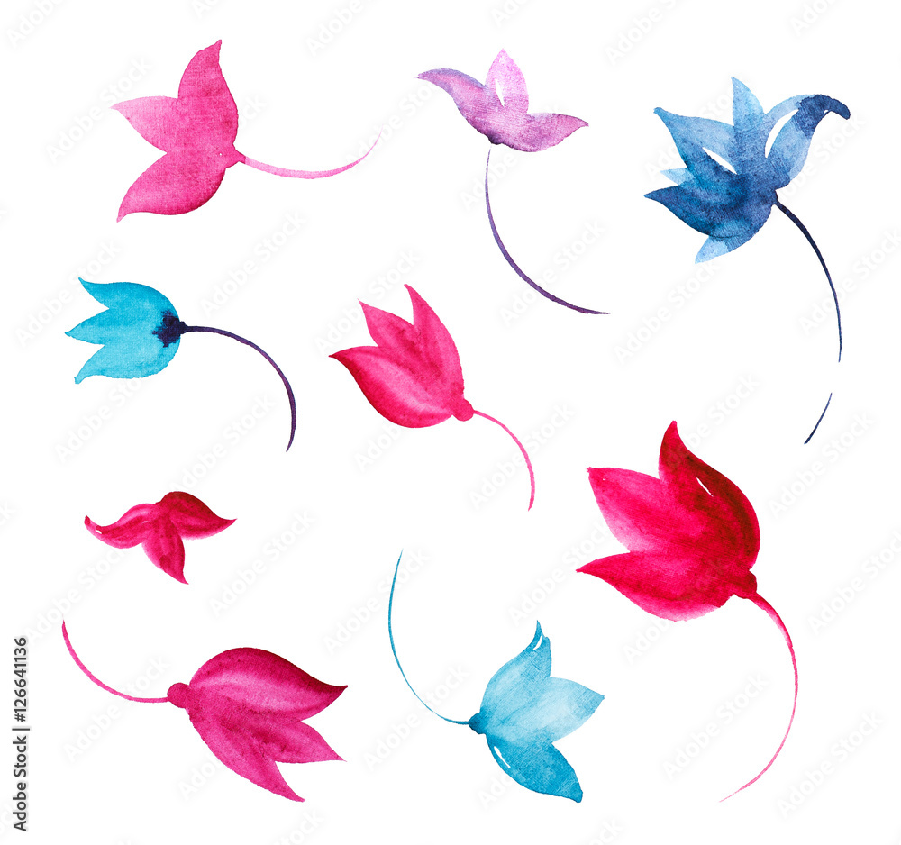 Fototapeta premium set of simple flowers isolate on white background