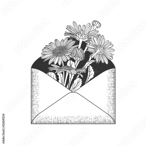 Fototapeta Naklejka Na Ścianę i Meble -  Envelope with chamomile flowers.