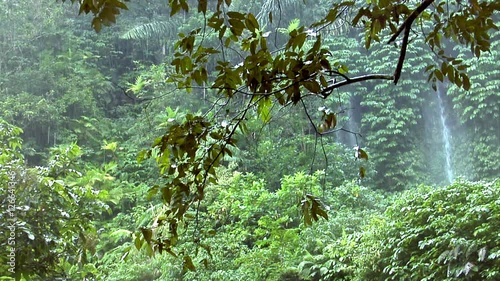10156 rain forrest waterfall

