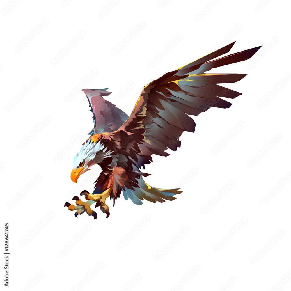 Obraz premium attacking bird eagle on a white background