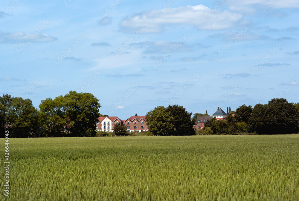 field agriculture farm crops england uk field agriculture farm crops england uk