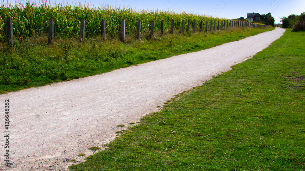 field agriculture farm crops england uk field agriculture farm crops england uk