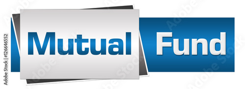 Mutual Fund Blue Grey Horizontal 