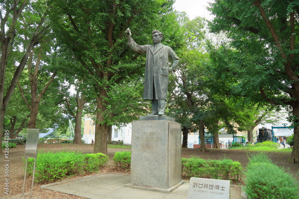 上野公園・野口英世の銅像