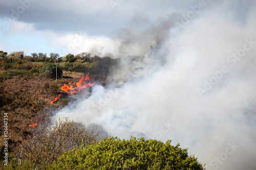 Grass fire in a hot summer caused by vandalism burning in a field in Wales, UK