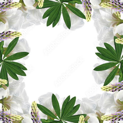 Fototapeta Naklejka Na Ścianę i Meble -  Beautiful floral background of blue lupine and white iris 