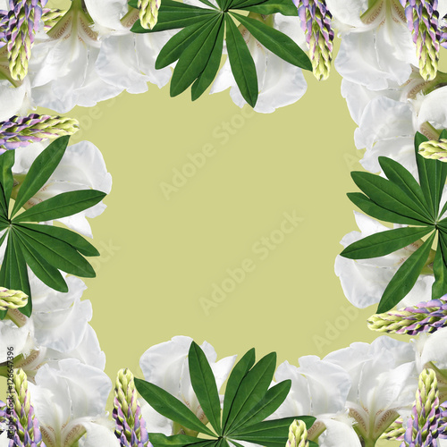 Fototapeta Naklejka Na Ścianę i Meble -  Beautiful floral background of blue lupine and white iris 