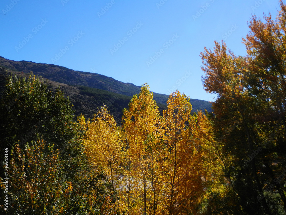 Fototapeta premium Autumn colors in Alpujara Region, Spain