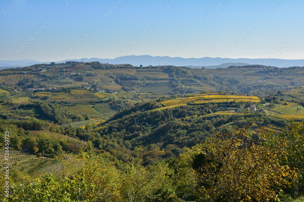 The autumnal landscape around the historic Slovenian town of Smartno in the Brda municipality of Slovenian Littoral.
