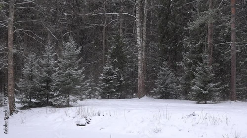 Falling snow