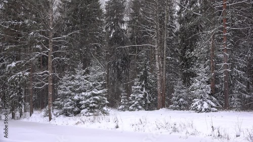 Falling snow