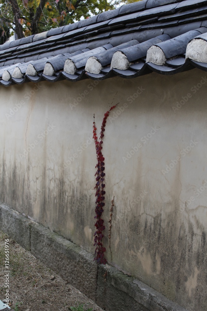 Fototapeta premium 한국전통한옥