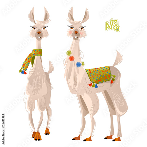 Two lamas. Alpaca. Vector illustration.