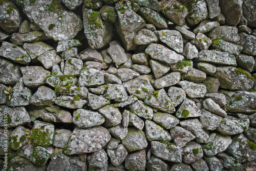 Old stone wall cover with moss