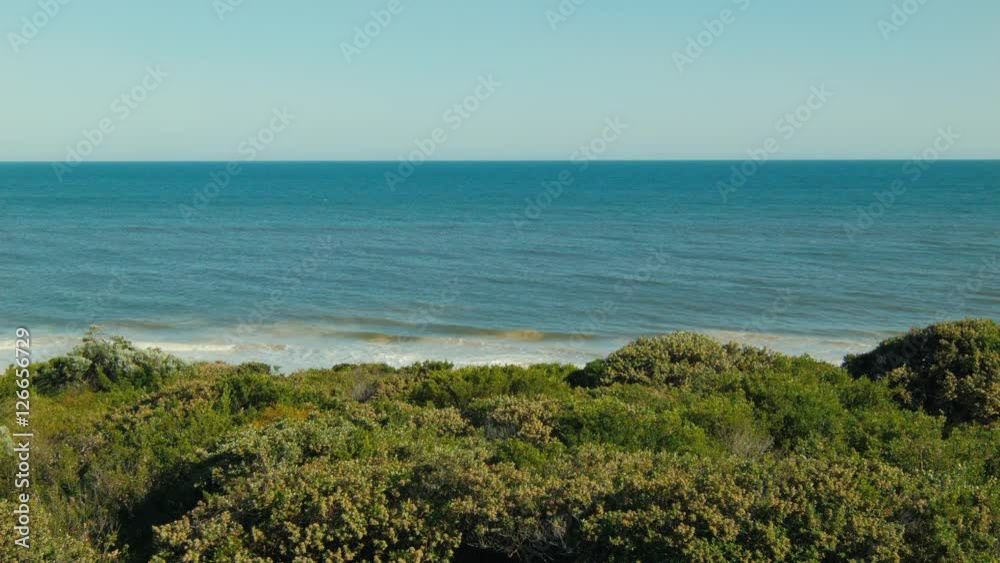 Looking Across A Plant Covered Dune To The Ocean Looking Across A Plant Covered Dune To The Ocean