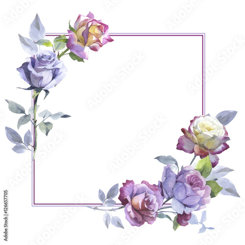 Wildflower rose flower frame vector in a watercolor style isolated. Full name of the plant: rose, hulthemia, rosa. Aquarelle wild flower for background, texture, wrapper pattern, frame or border.