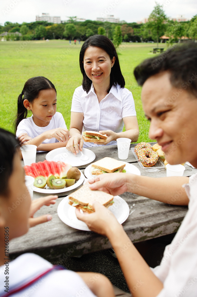 Family having picnic, outdoor