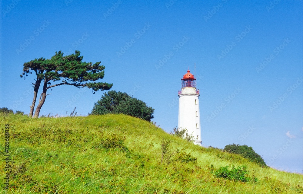 Leuchtturm Dornbusch auf Hiddensee, Rügen, Mecklenburg-Vorpommern, Deutschland