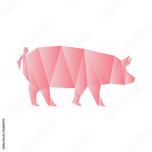 pig