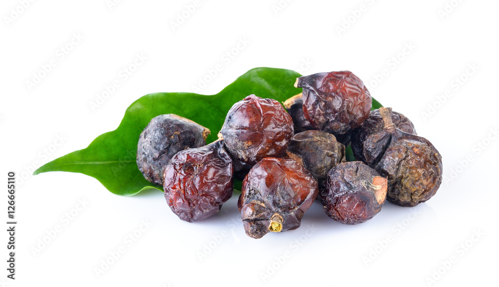 Soap nut on white background Soap nut on white background