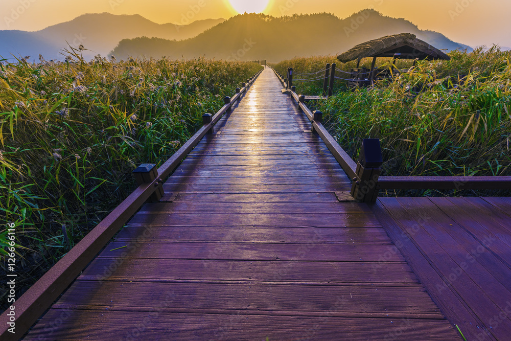 Fototapeta premium Sunrise on the walk way