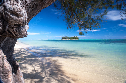 Island in the bay, Moorea