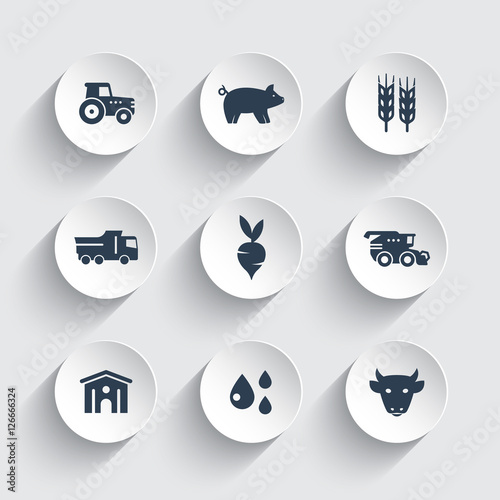 Agriculture, farming icons set, cattle, pigs, hangar, combine harvester, agrimotor, vegetables