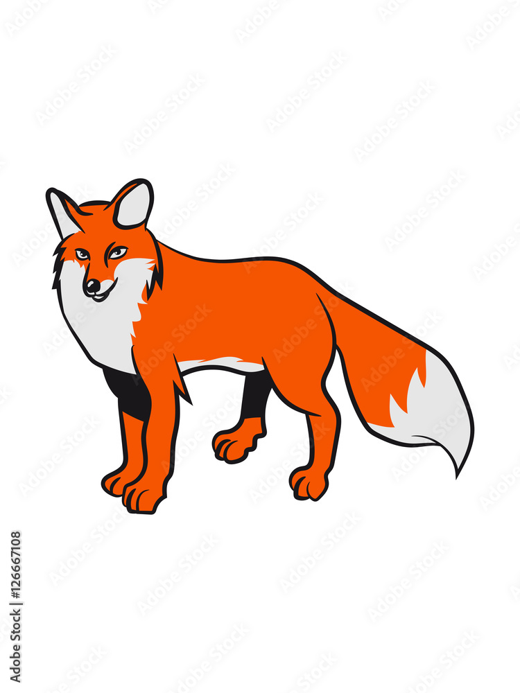 fox fox