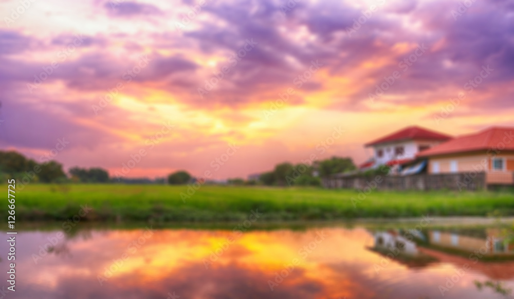 blurred background rice field with sunset sky blurred background rice field with sunset sky