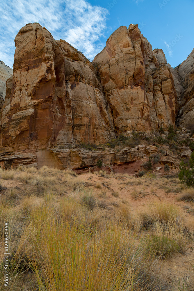 Fototapeta premium Capitol Reef National Park