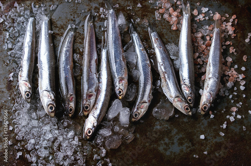 Raw fresh anchovies fishes photo