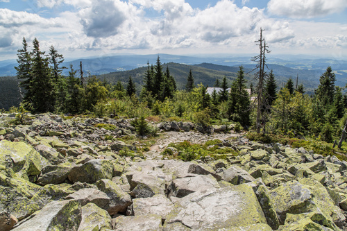 Lusen Gipfel; Nationalpark Bayerischer Wald, Sommer 