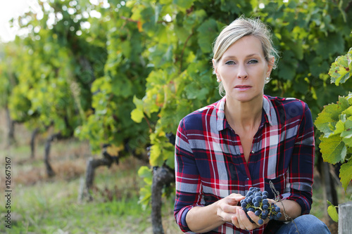 wine grower analysing grapes