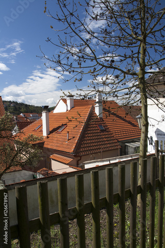 Spring cityscape with rural buildings