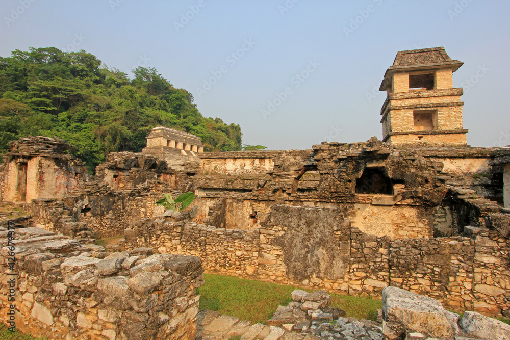 Mayan ruins in Palenque, Chiapas, Mexico. It is one of the best preserved sites, which contains interesting architecture and is popular tourist attraction