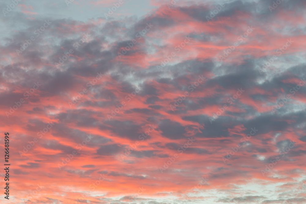Sunset Sky of Pink, Orange, Blue and Gray Colors.