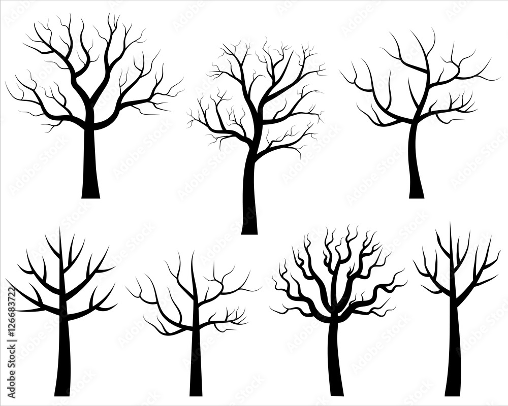 Vector bare tree silhouettes, Black cartoon trees without leaves Stock  Vector | Adobe Stock