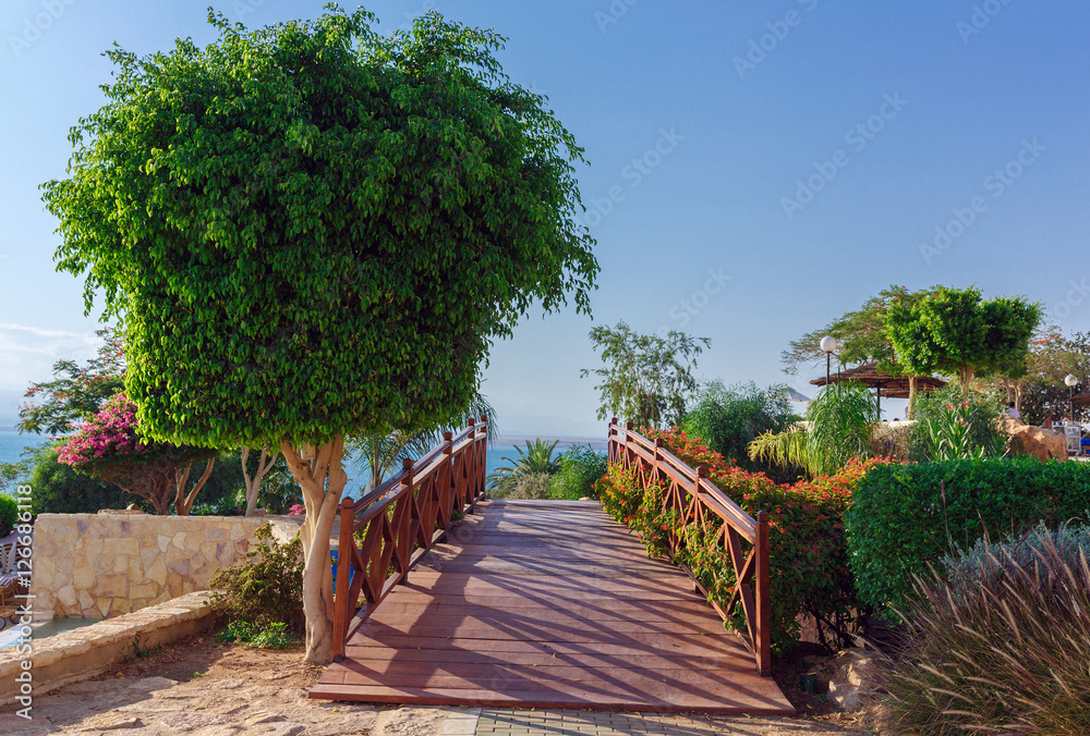 Wooden bridge surrounded by green trees and flowers